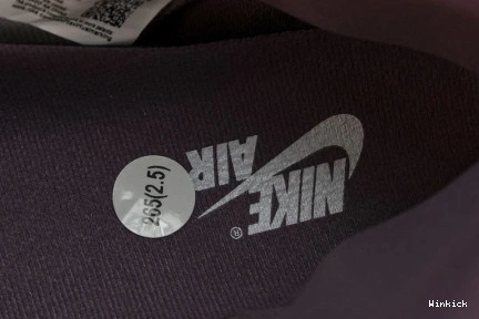 Jordan High OG DZ5485-105 1 “Mauve” 0929